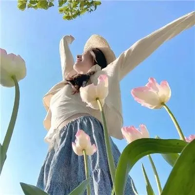 《深夜食堂》1-5季暖心合集：每一道菜背后都是一个人生故事，治愈深夜的你